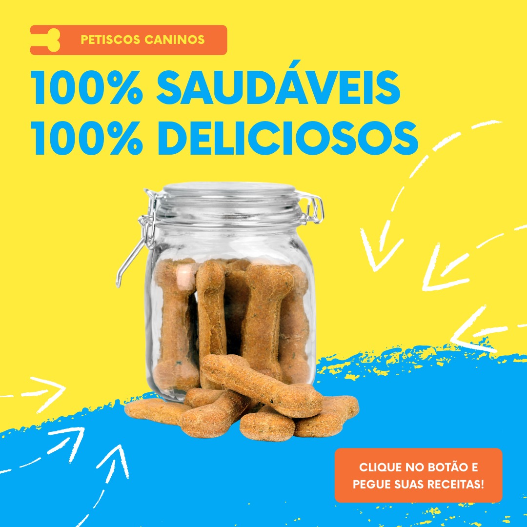 Receitas para Cachorro